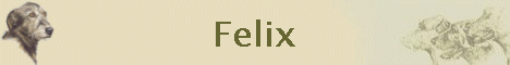 Felix