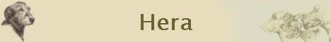 Hera