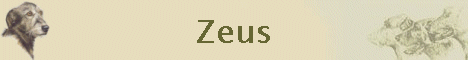 Zeus